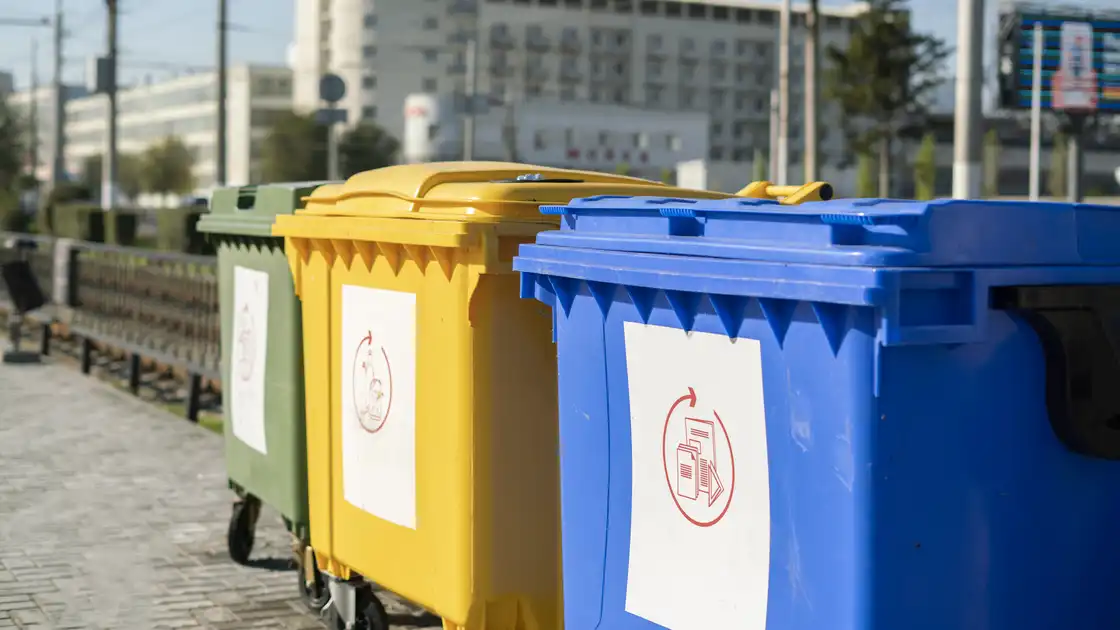 Mehrere Müllcontainer in unterschiedlichen Farben