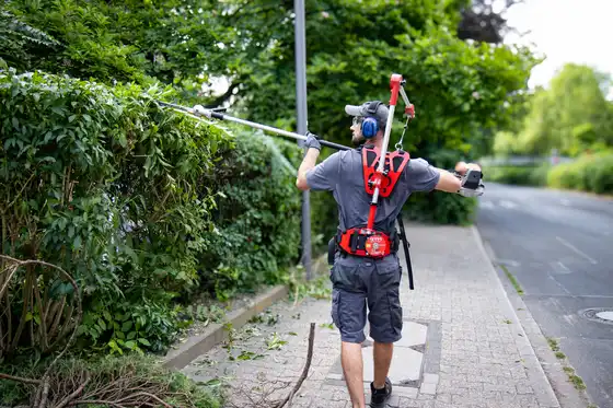 Mitarbeiter des raumgut Facility Teams bei der professionellen Gartenpflege und beim Schneiden einer Hecke in Düsseldorf.